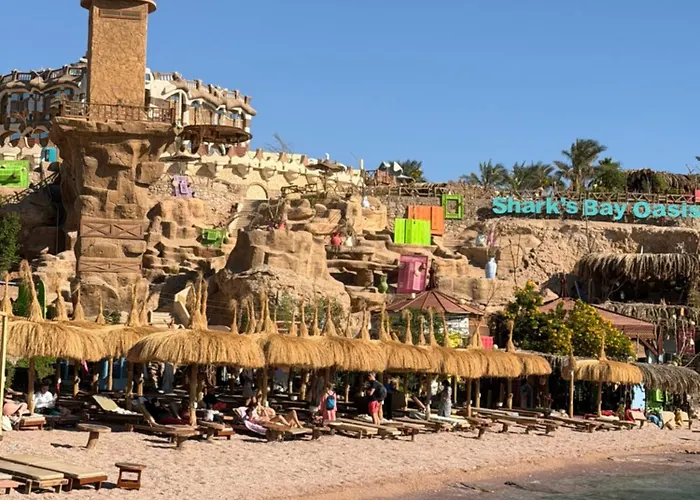 Sharks Bay Oasis Aqua Park Otel